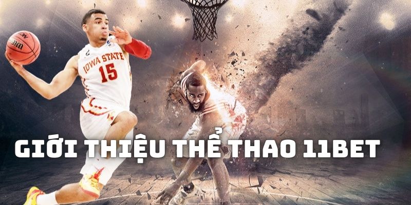 Giới thiệu chung về không gian chơi game thể thao tại 11BET