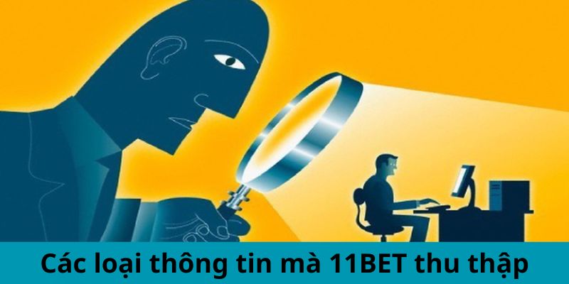 Các loại thông tin mà nhà cái thu thập